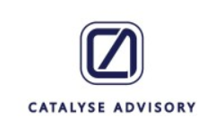 Catalyse Advisors logo
